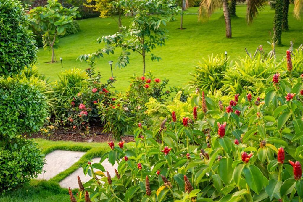 Villa Woods & Palms Поллачи Экстерьер фото